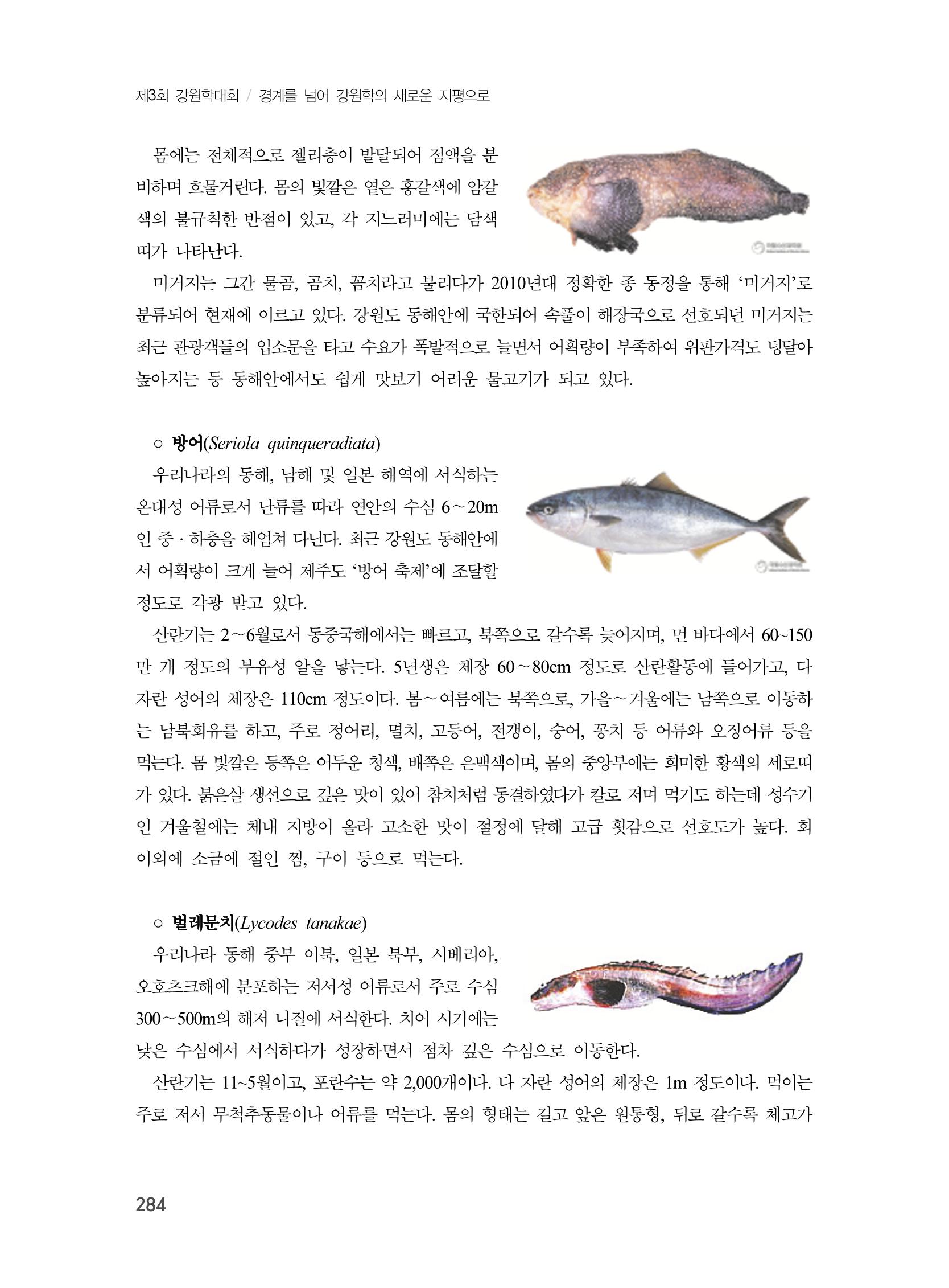 제3회 강원학대회-본문-분권2(컬러) 284페이지