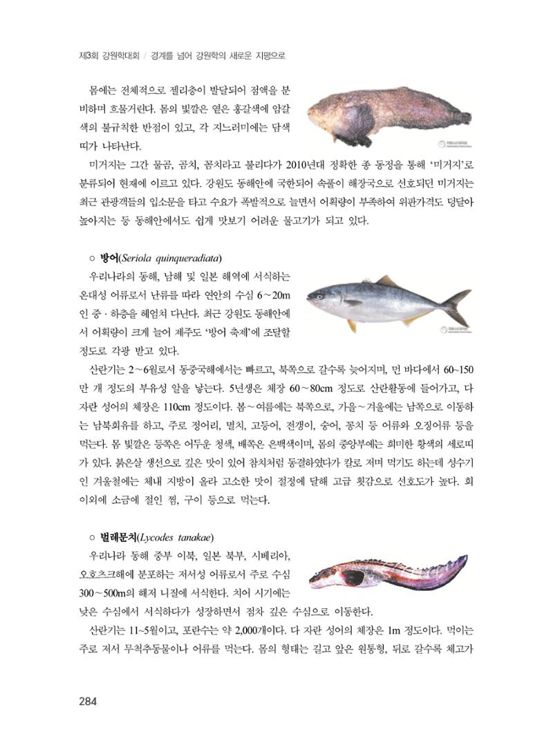 제3회 강원학대회-본문-분권2(컬러) 284페이지