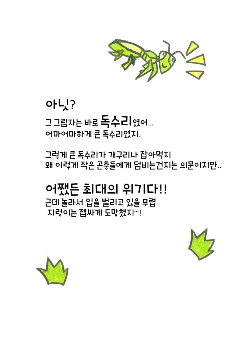 거미 친구의 모험 12페이지