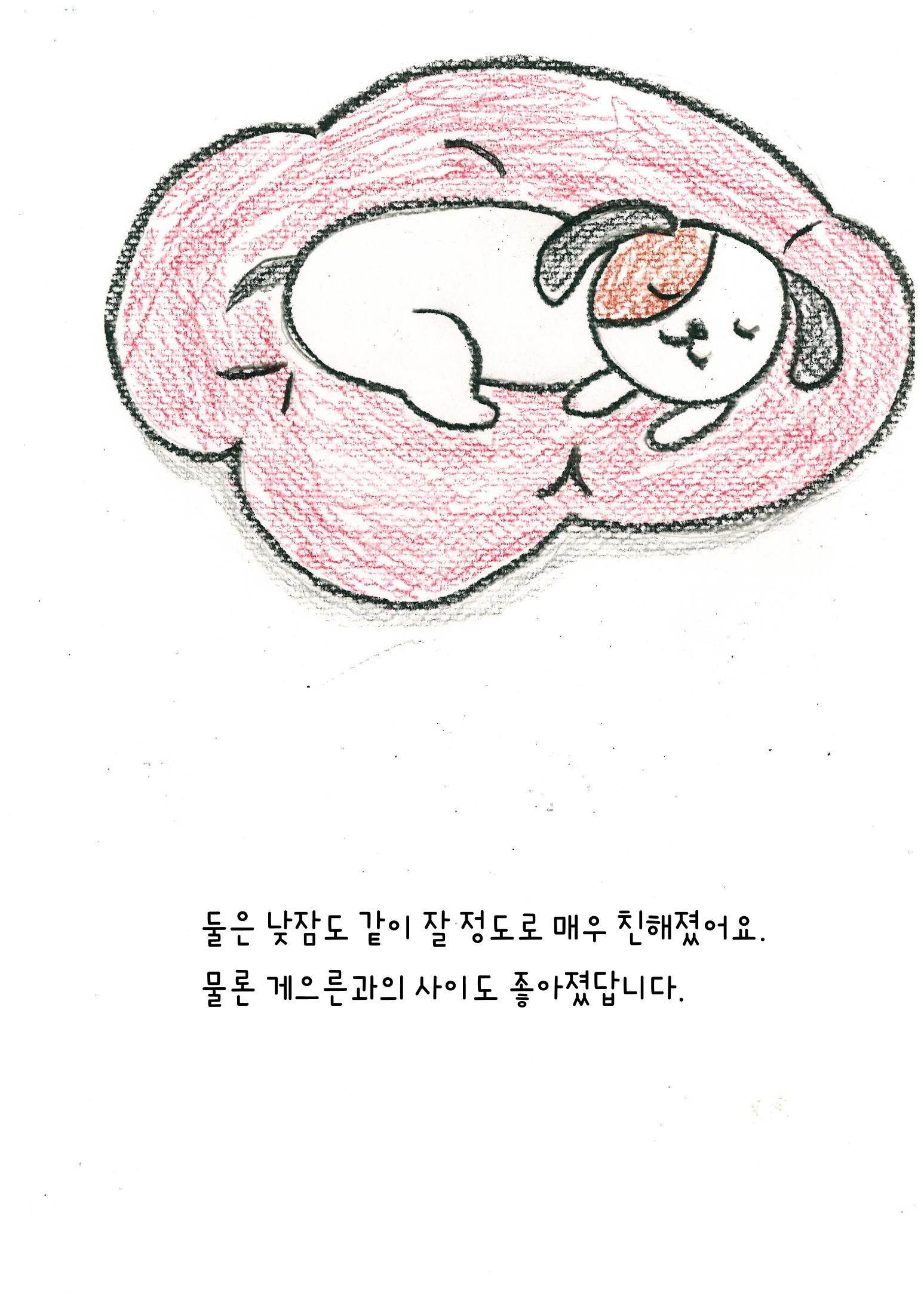 나비의 주인을 찾아주세요! 30페이지