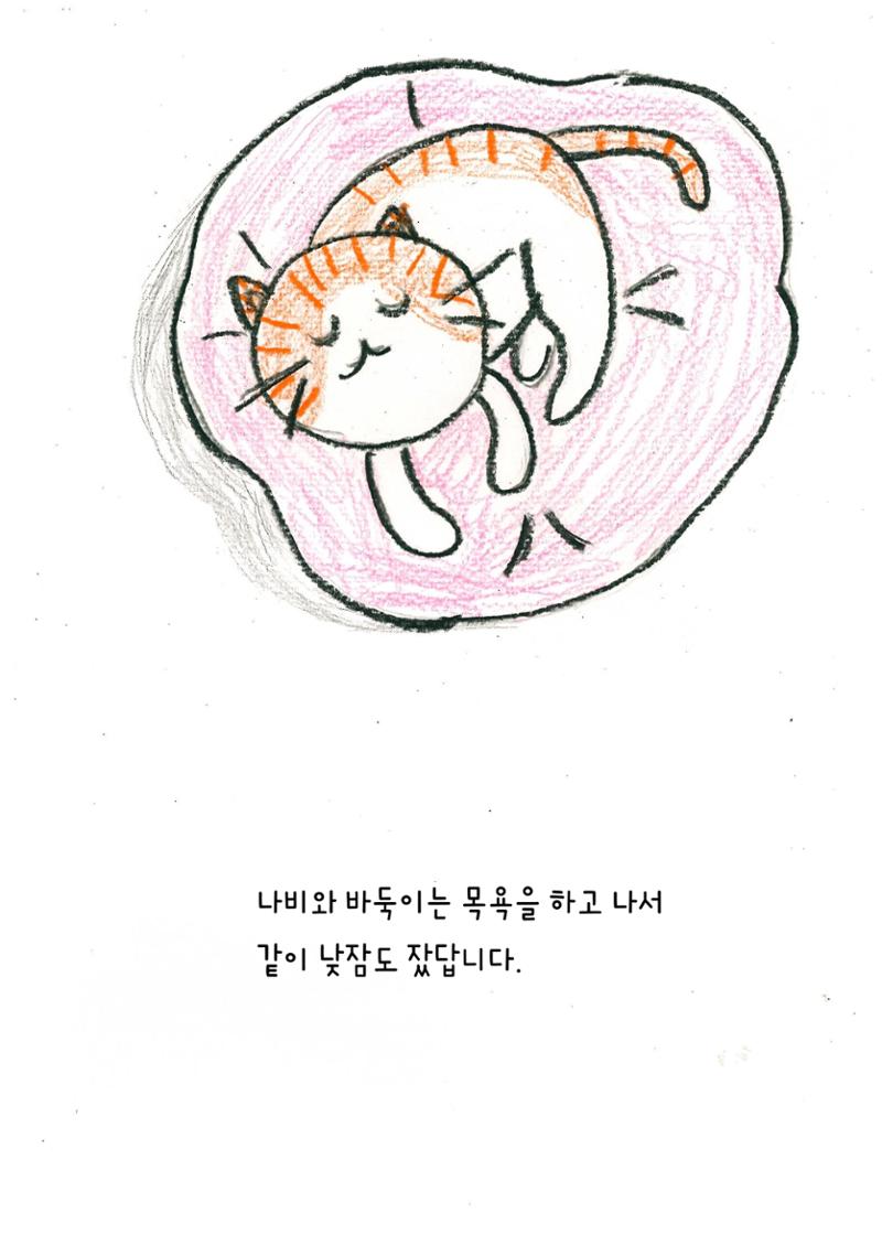 나비의 주인을 찾아주세요 30페이지