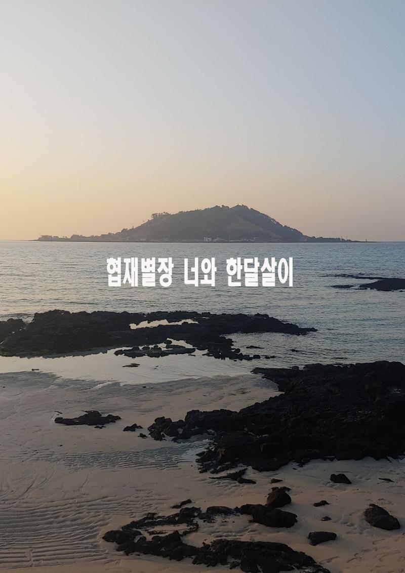 협재별장너와 한달살기 1페이지