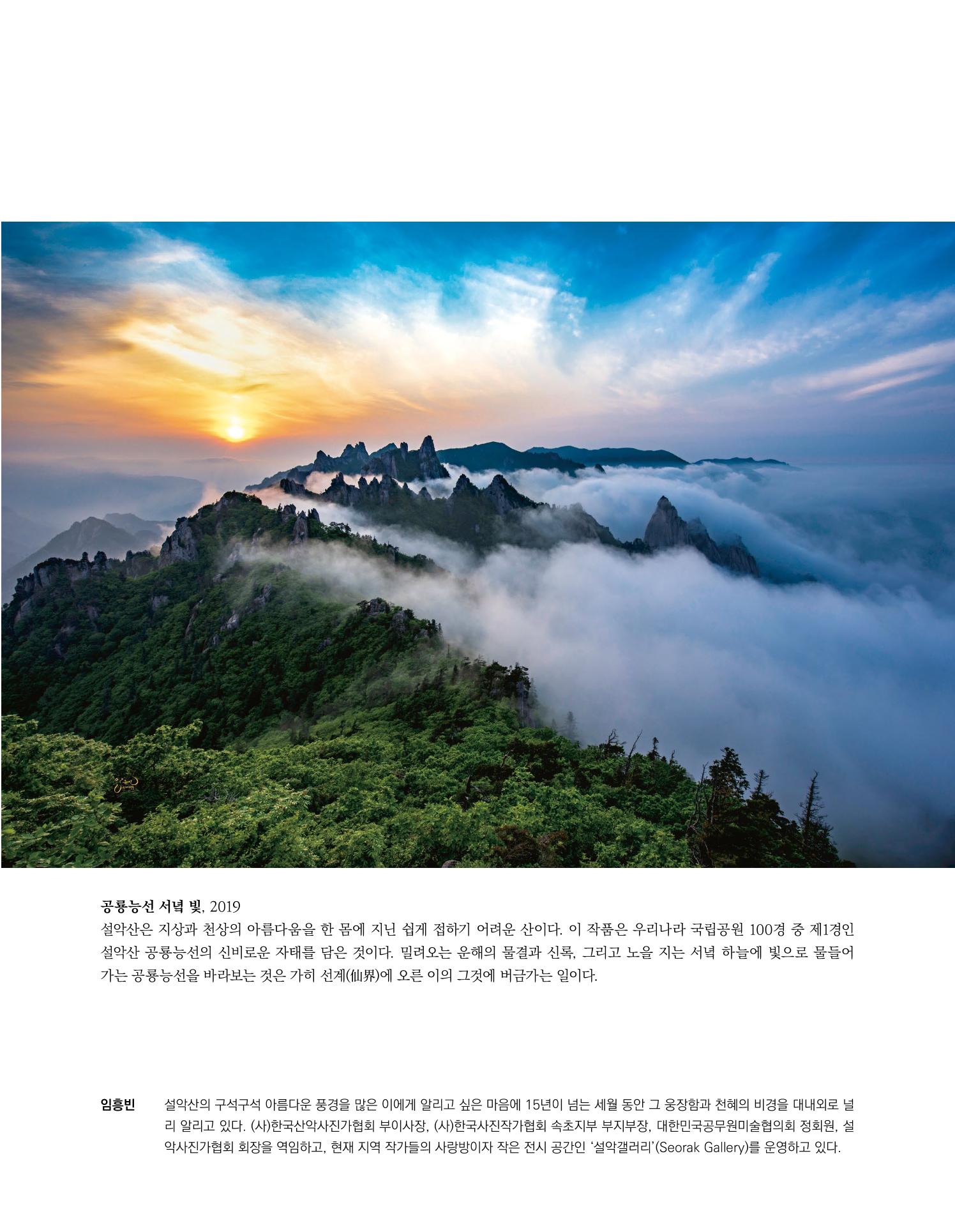 속초 문화특화지역조성사업 소식지 오케이속초 Vol. 4(0811) 15페이지