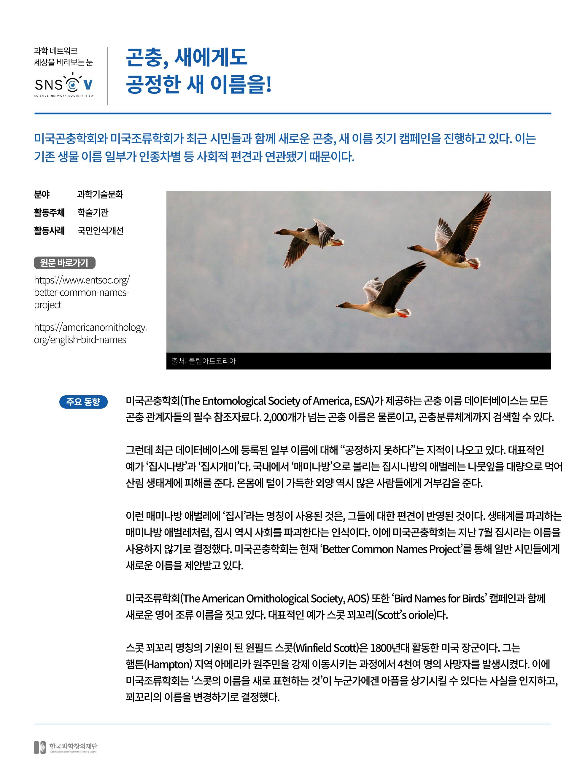 한국과학창의재단_이벤트_파트1 11페이지