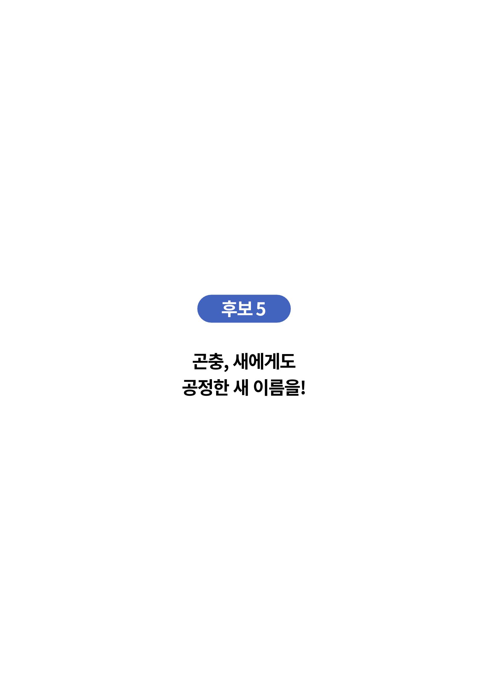 한국과학창의재단_대이벤트 10페이지