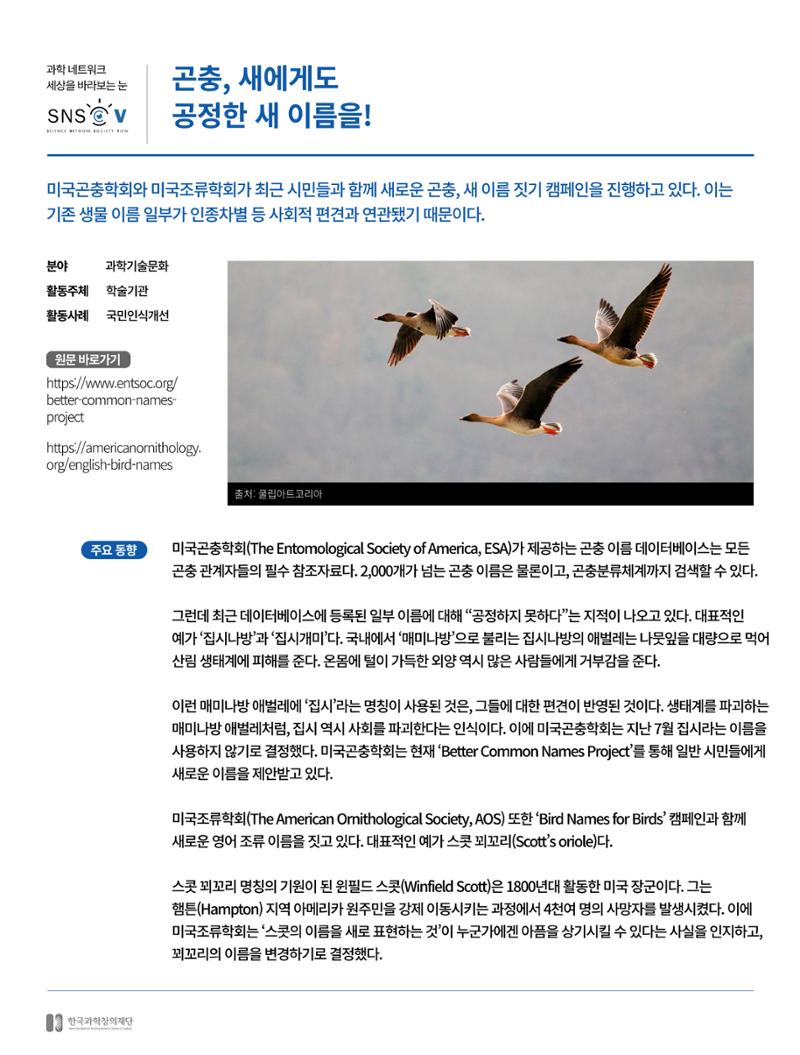 한국과학창의재단_대이벤트 11페이지