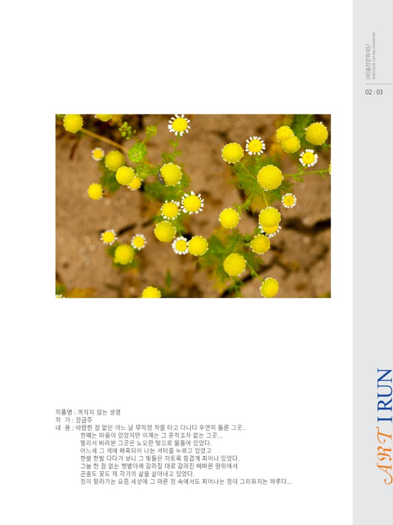 문화재단2호 3페이지