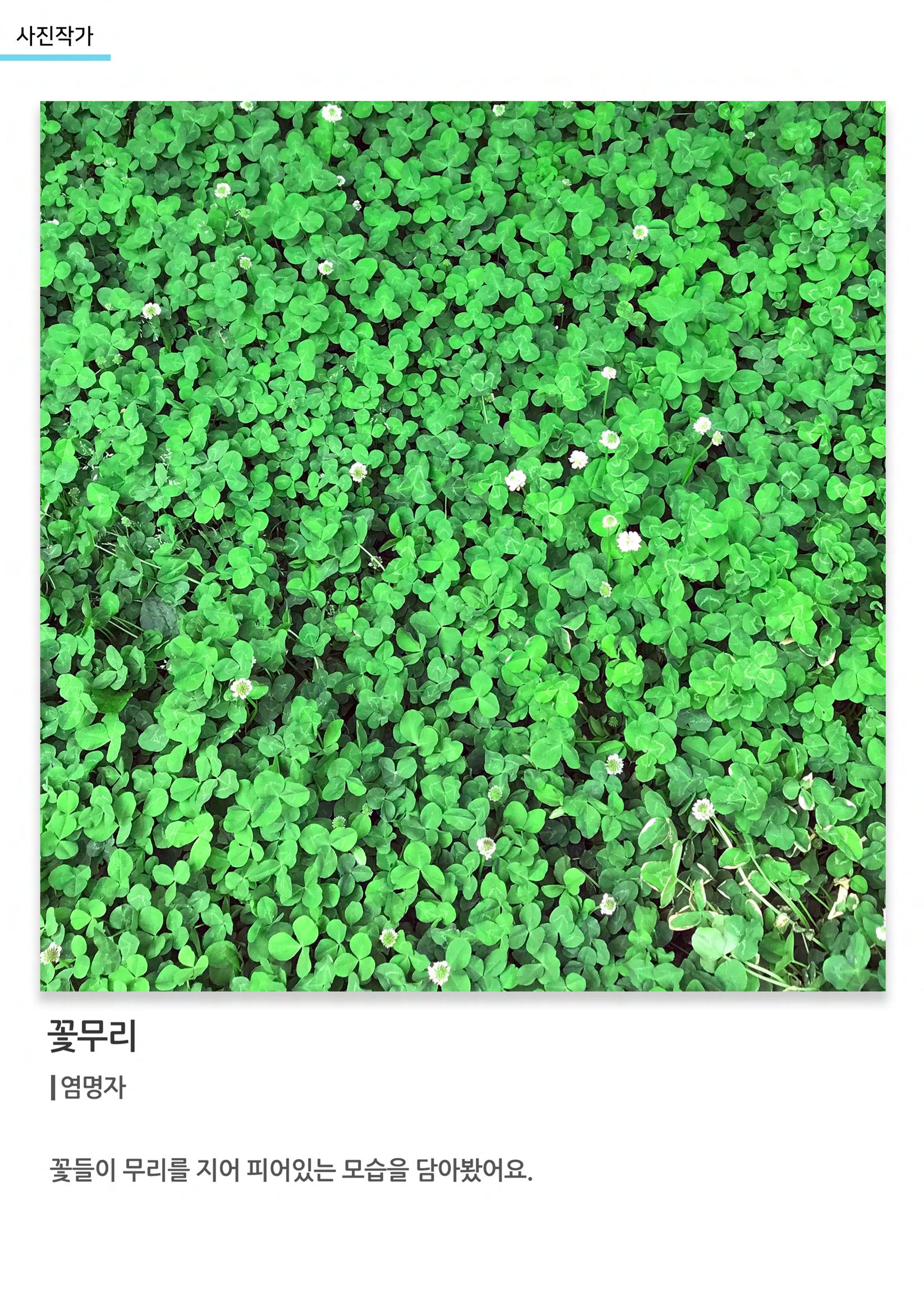 비상-아르떼아카데미 45페이지