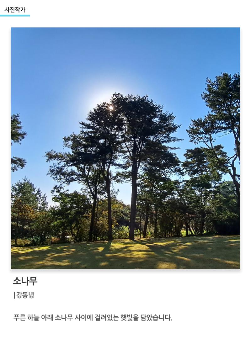 아르떼아카데미_소나무 1페이지