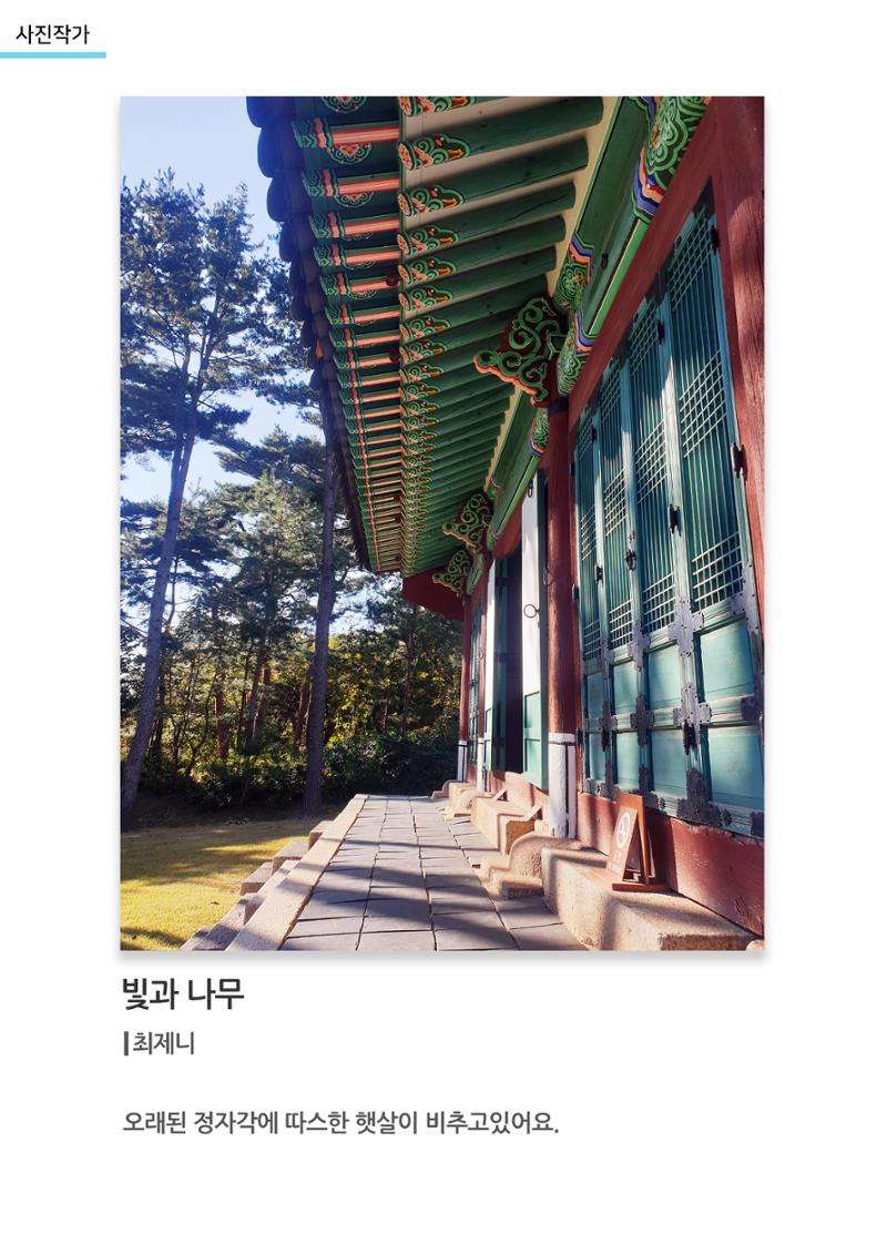 아르떼아카데미_빛과 나무 1페이지