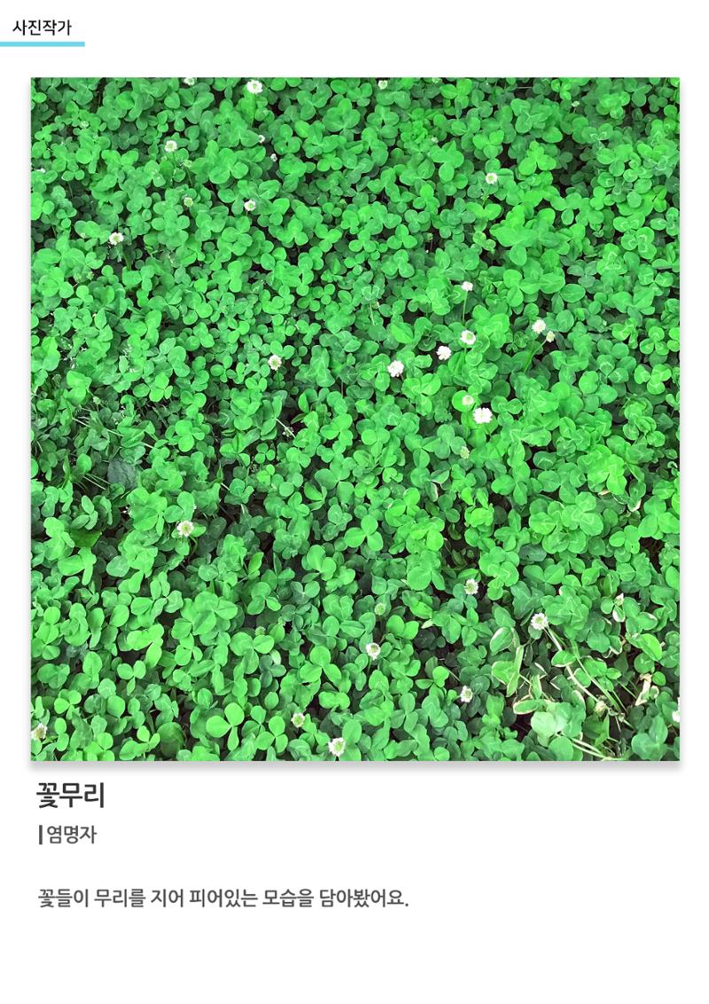 아르떼아카데미_꽃무리 1페이지