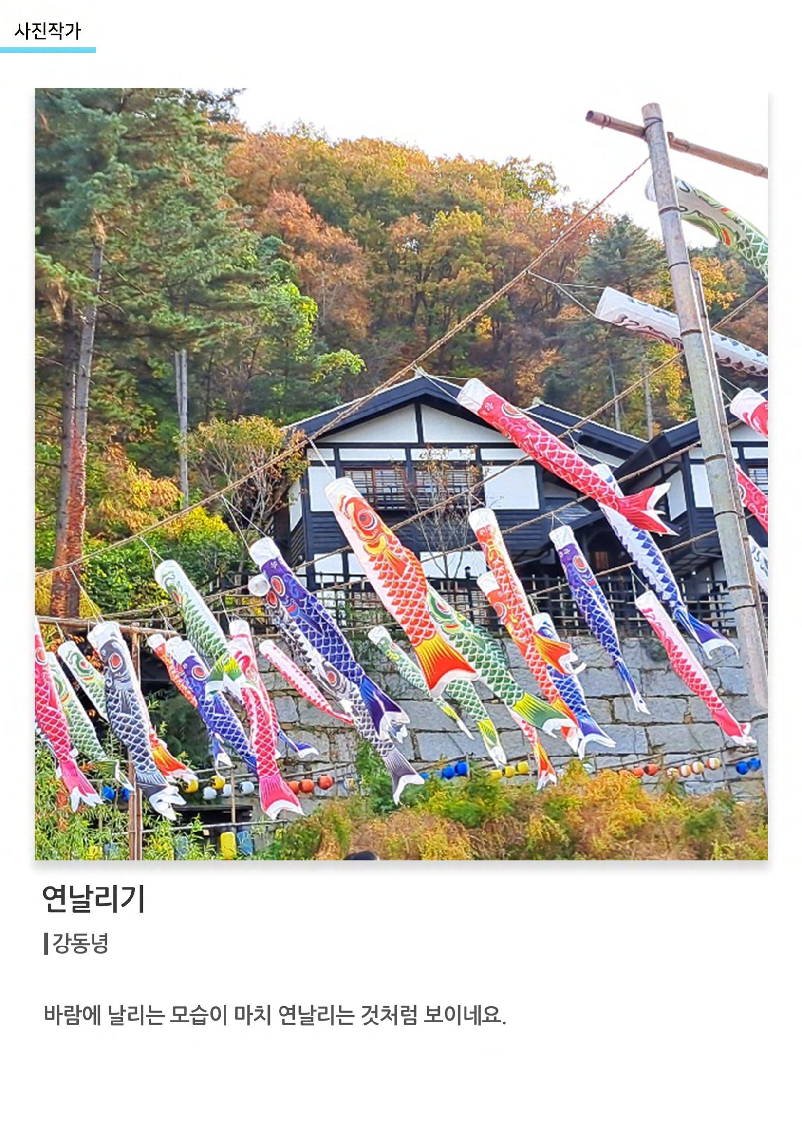갤러리 비상 50페이지