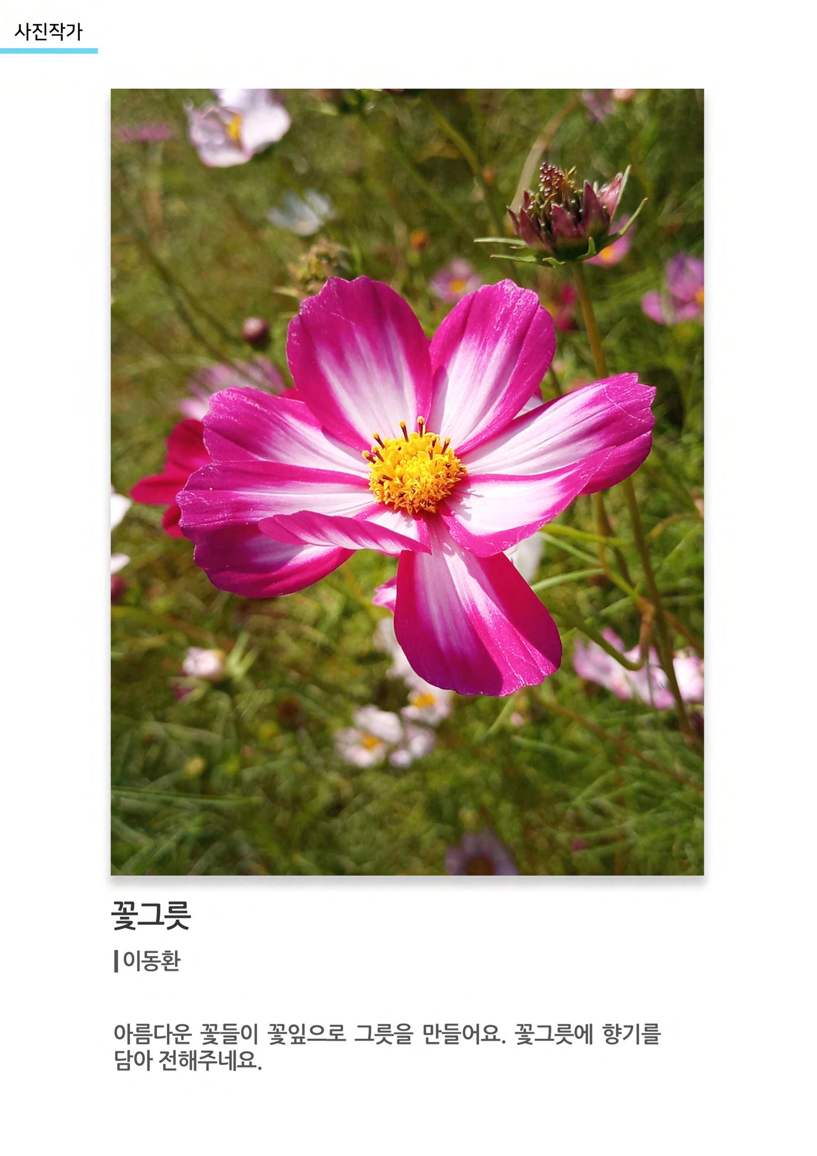 갤러리 비상 56페이지