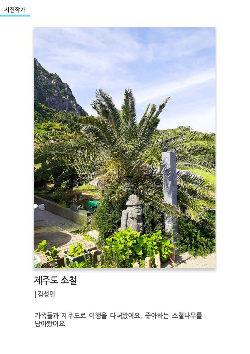 갤러리 비상 62페이지