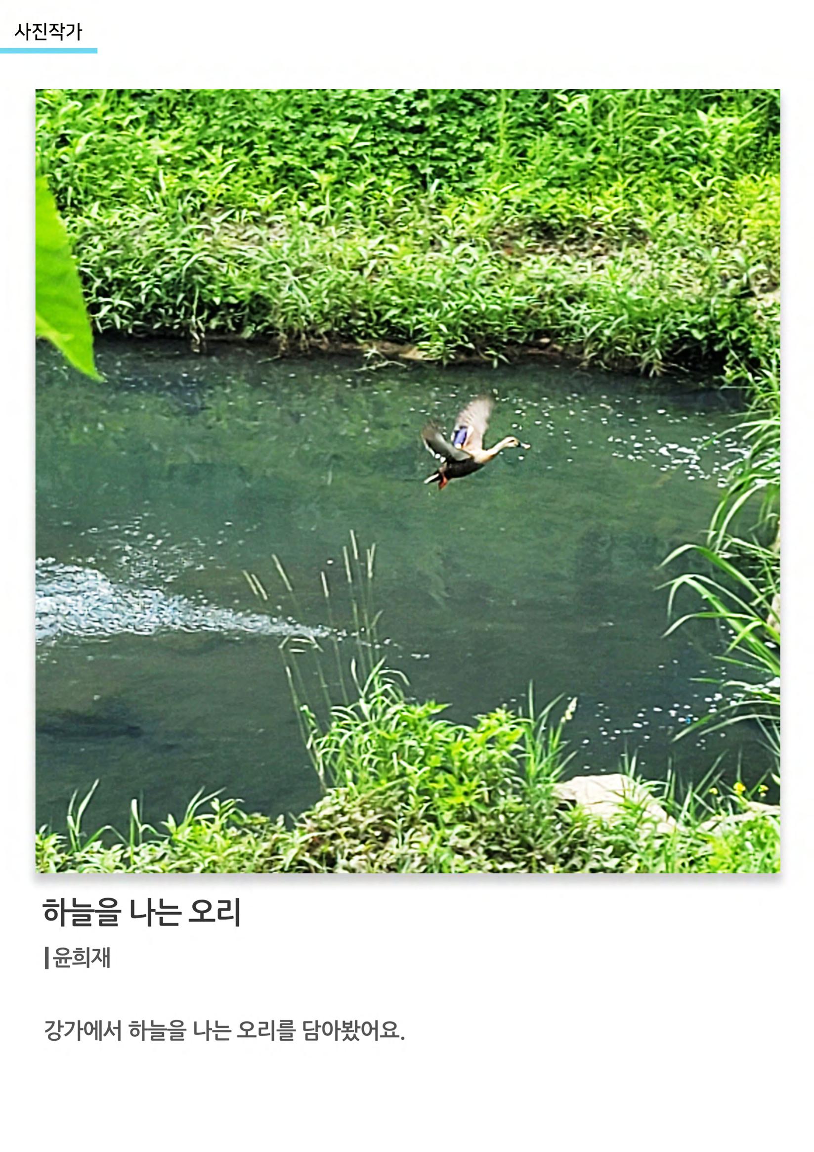 갤러리 비상 64페이지