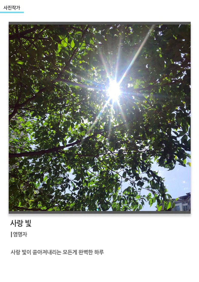 갤러리 비상 66페이지