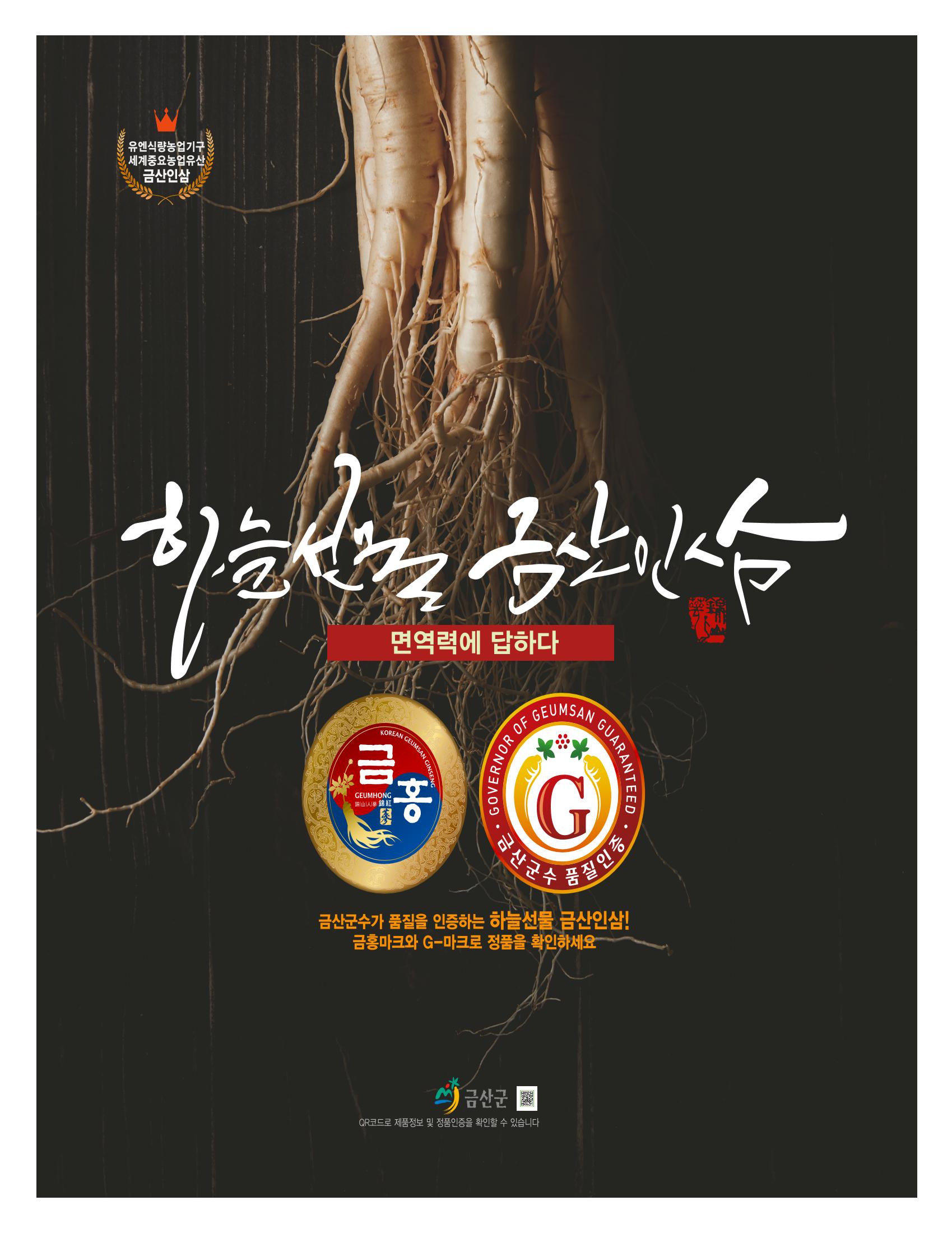 "금산이 뿌리입니다" 2월호 31페이지