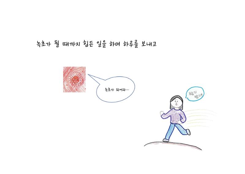 단점을 파는 가게 29페이지