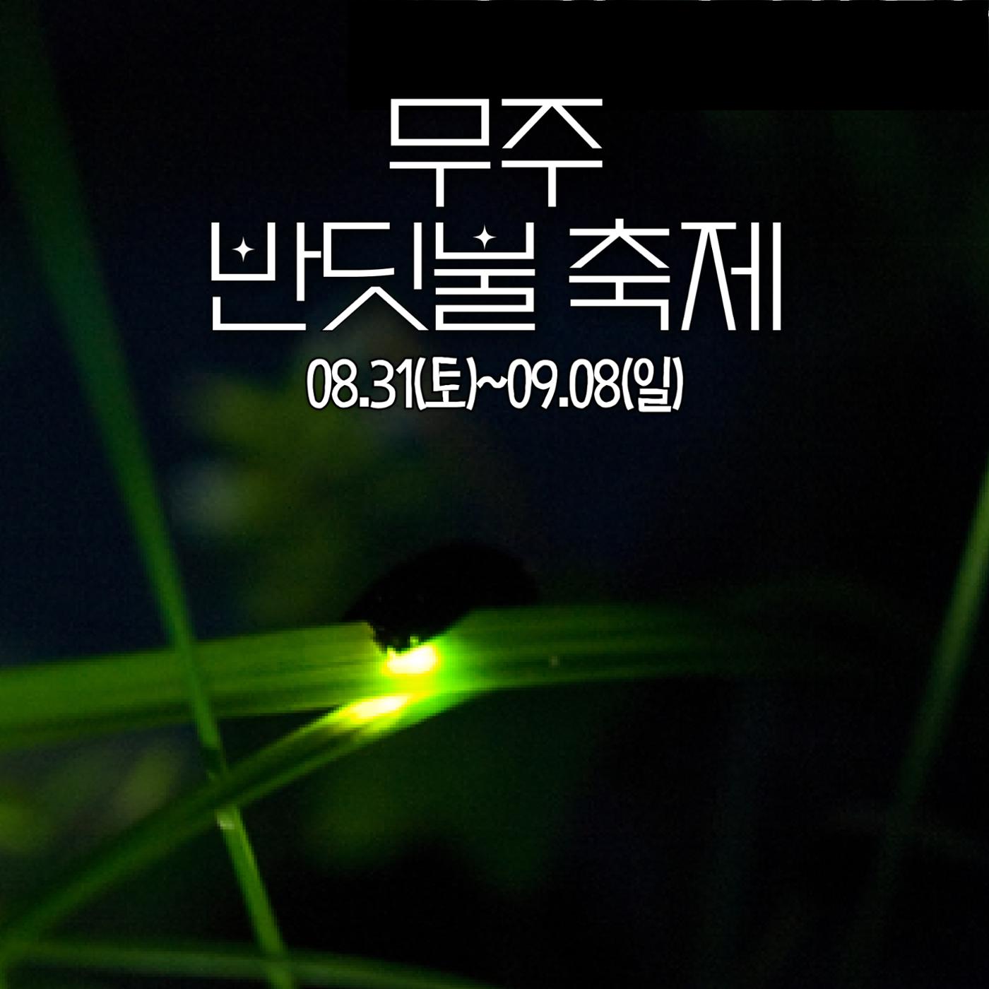 전국이색축제모음 11페이지