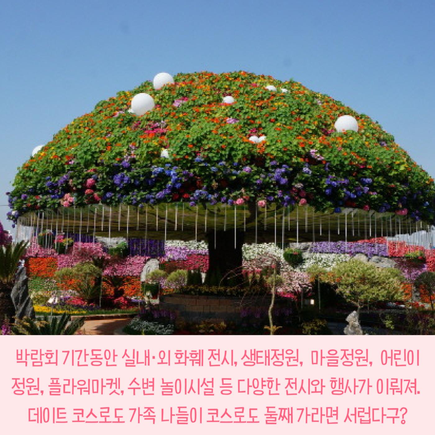전국이색축제모음 4페이지
