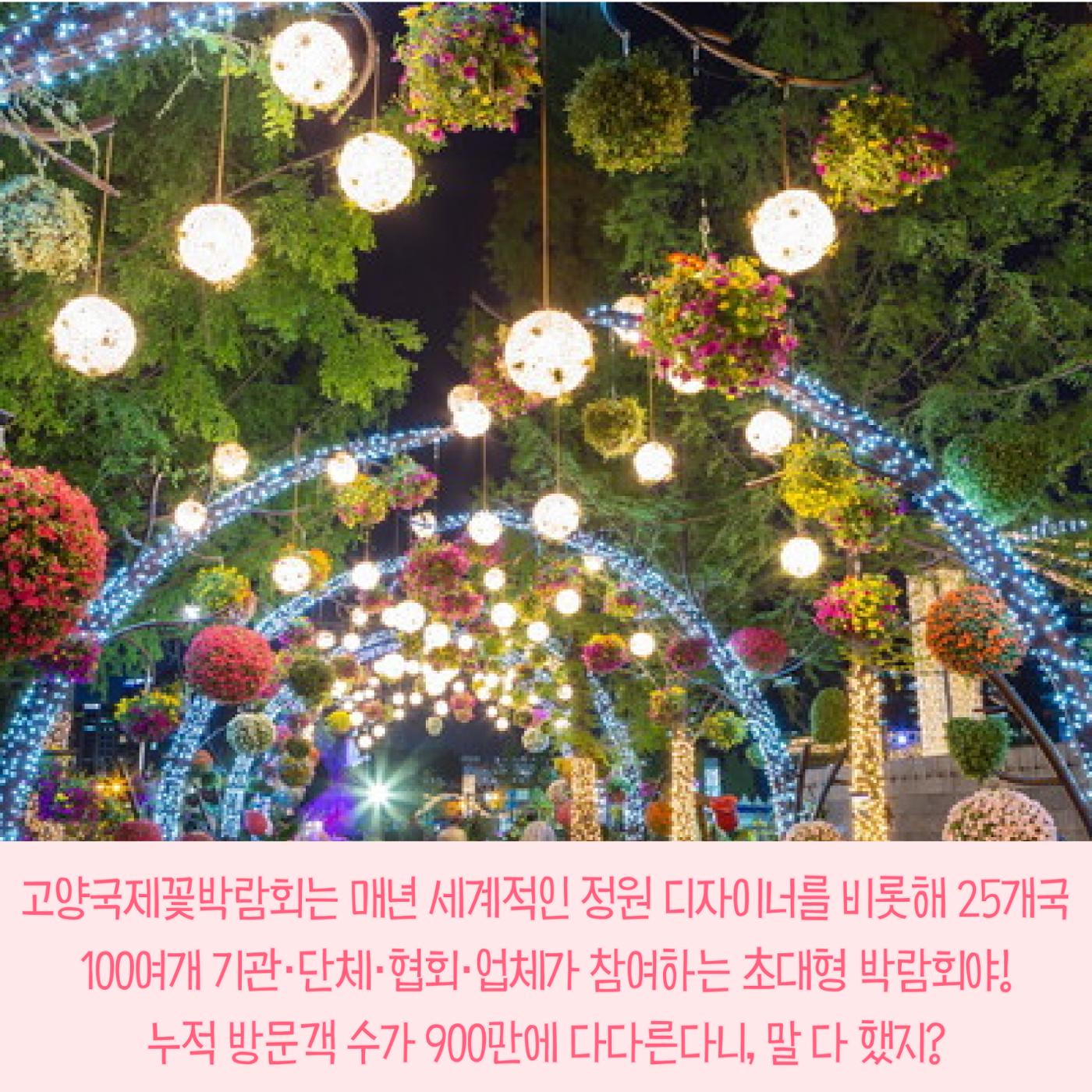 전국이색축제모음 3페이지