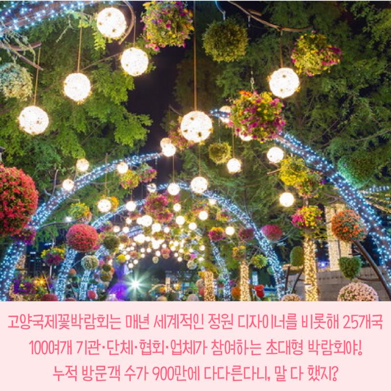 전국이색축제모음 3페이지