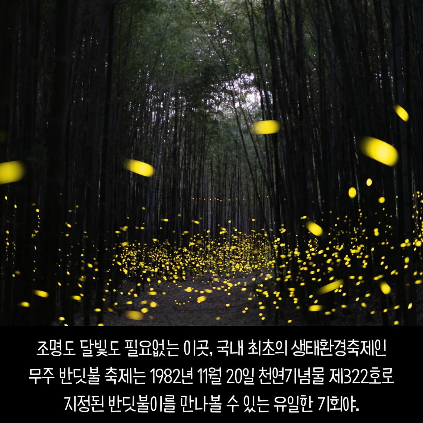 전국이색축제모음 12페이지