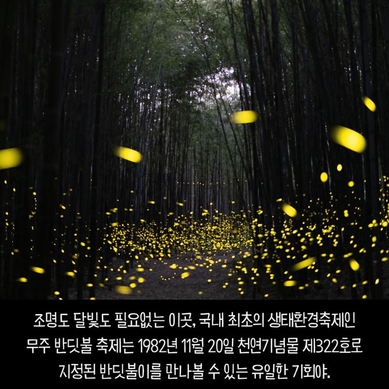 전국이색축제모음 12페이지