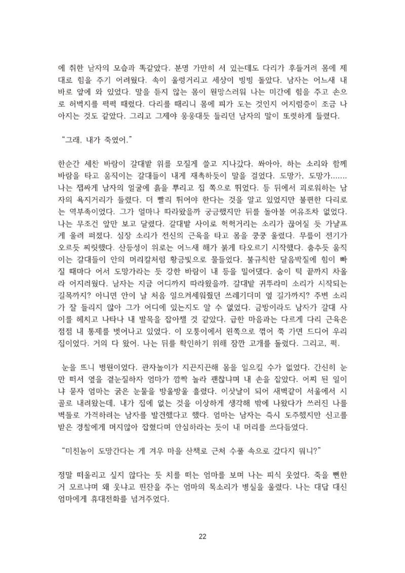 외지인과 도망자 23페이지