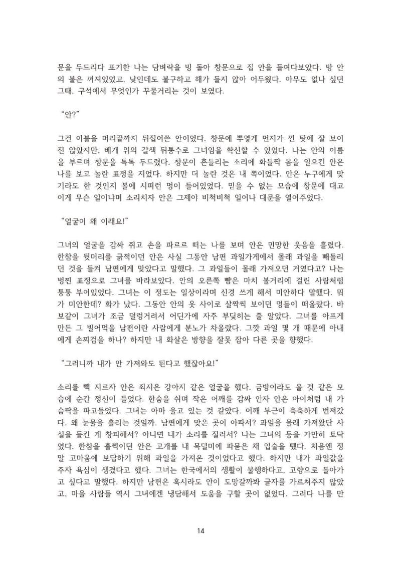 외지인과 도망자 15페이지