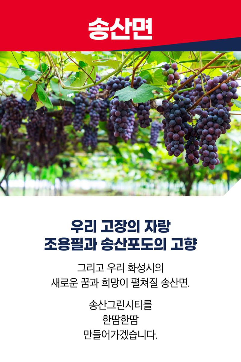 홍형선 화성시갑 국회의원후보 선거 공약 41페이지