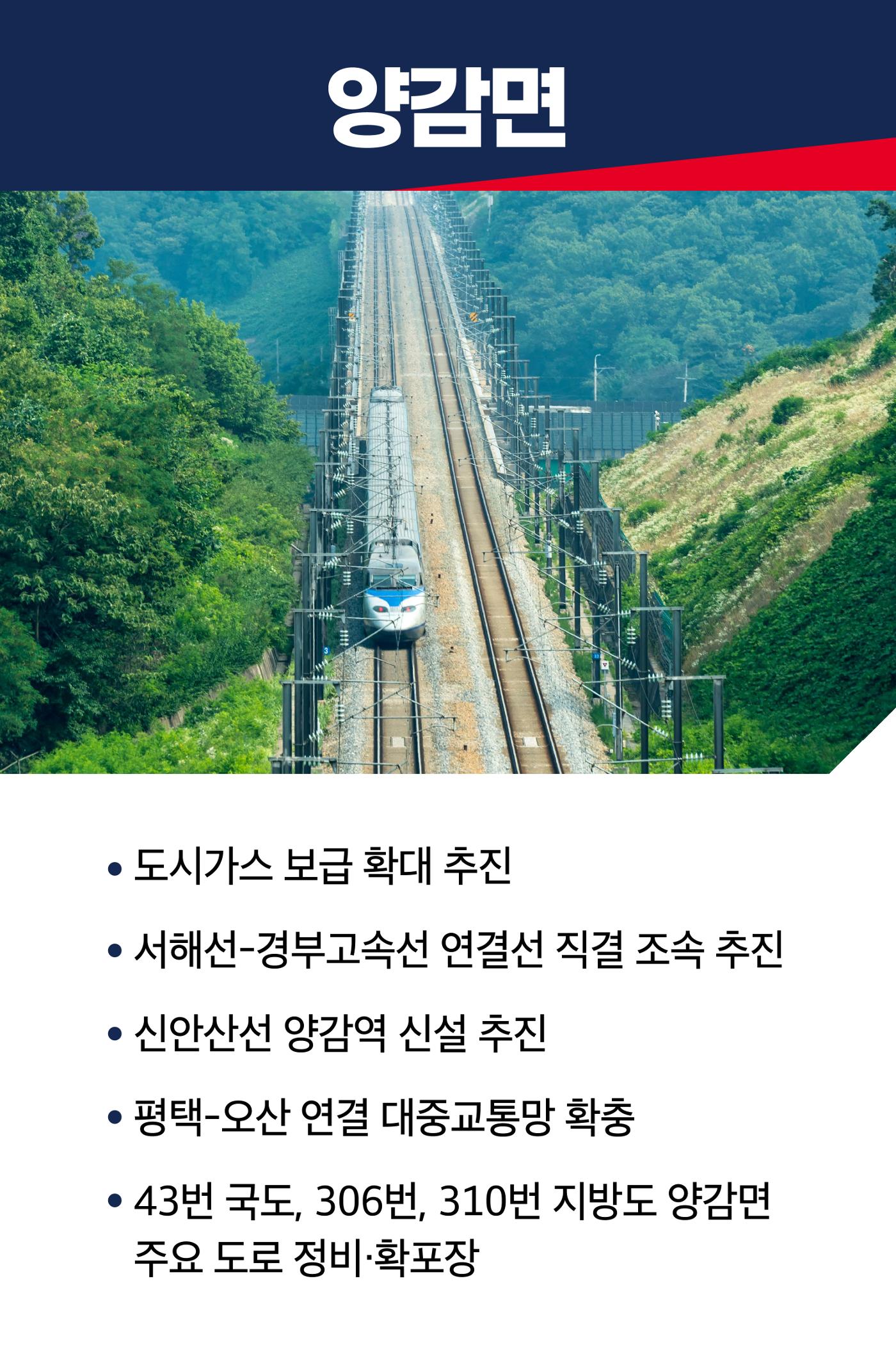 홍형선 화성시갑 국회의원후보 선거 공약 60페이지