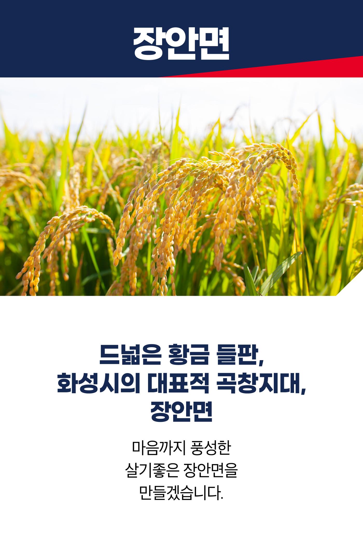 홍형선 화성시갑 국회의원후보 선거 공약 51페이지