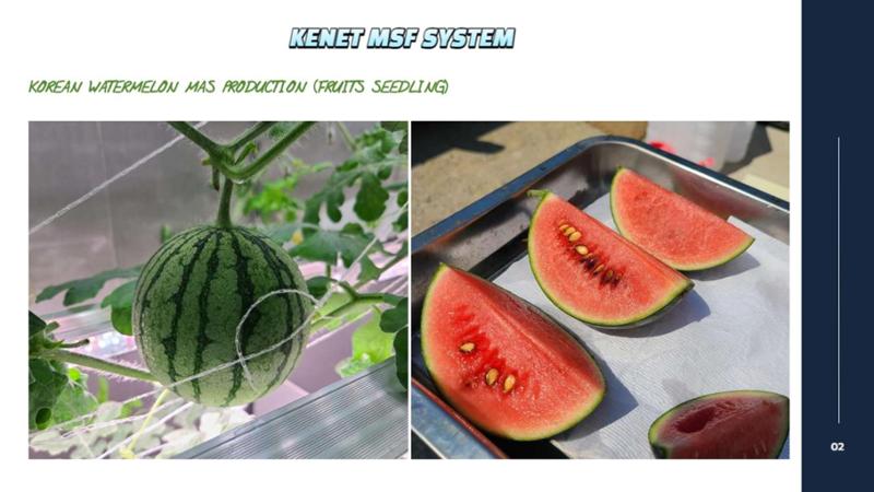 Korean  Modular Smart Farm 35페이지