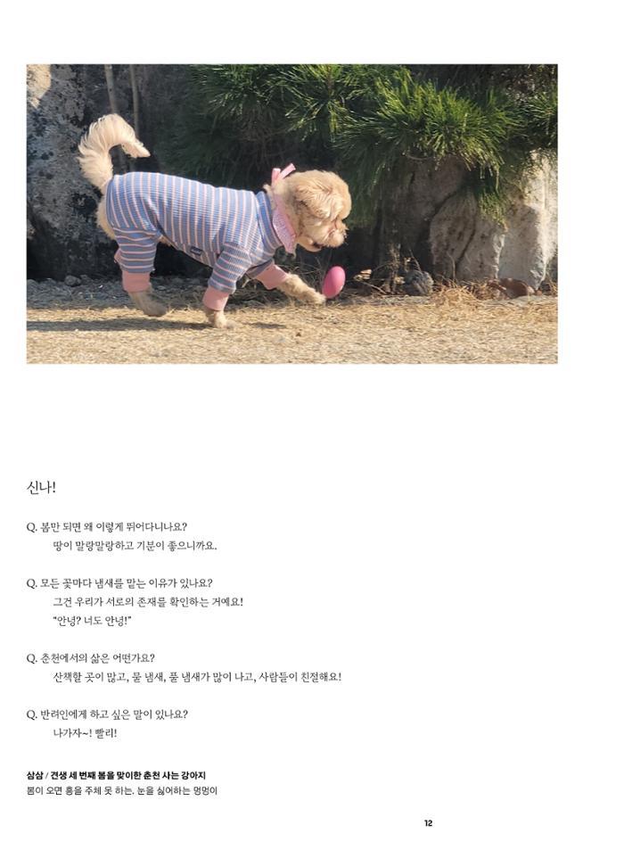 춘천문화매거진 POT 38호 15페이지