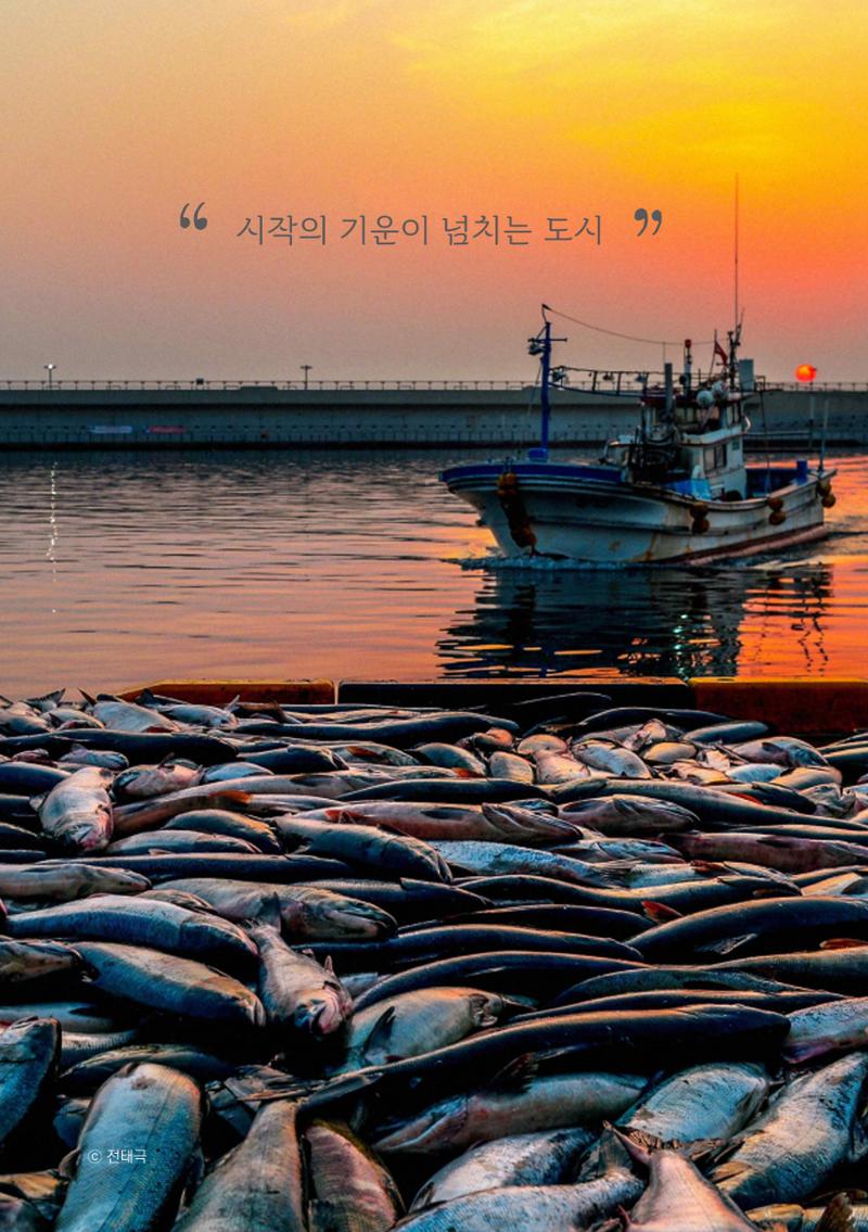 2024 속초살이 이모저도(페이지형식+빈쪽추가) 95페이지