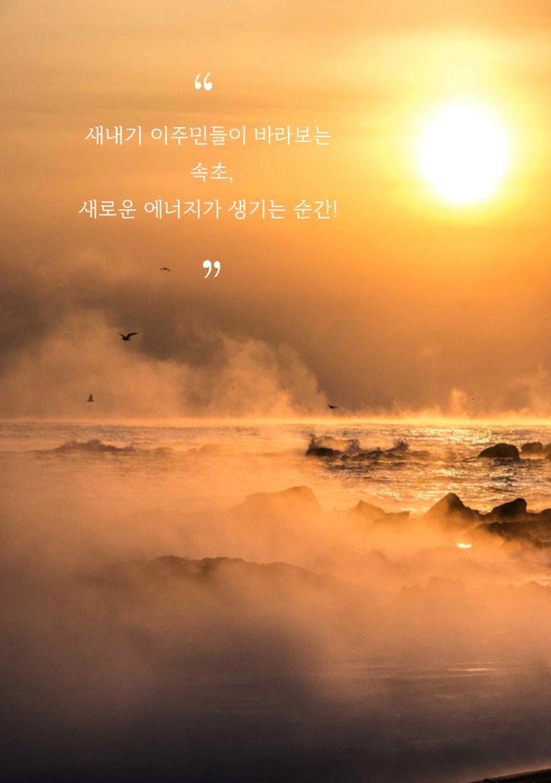 속초살이 이모저모(페이지 형식) 88페이지