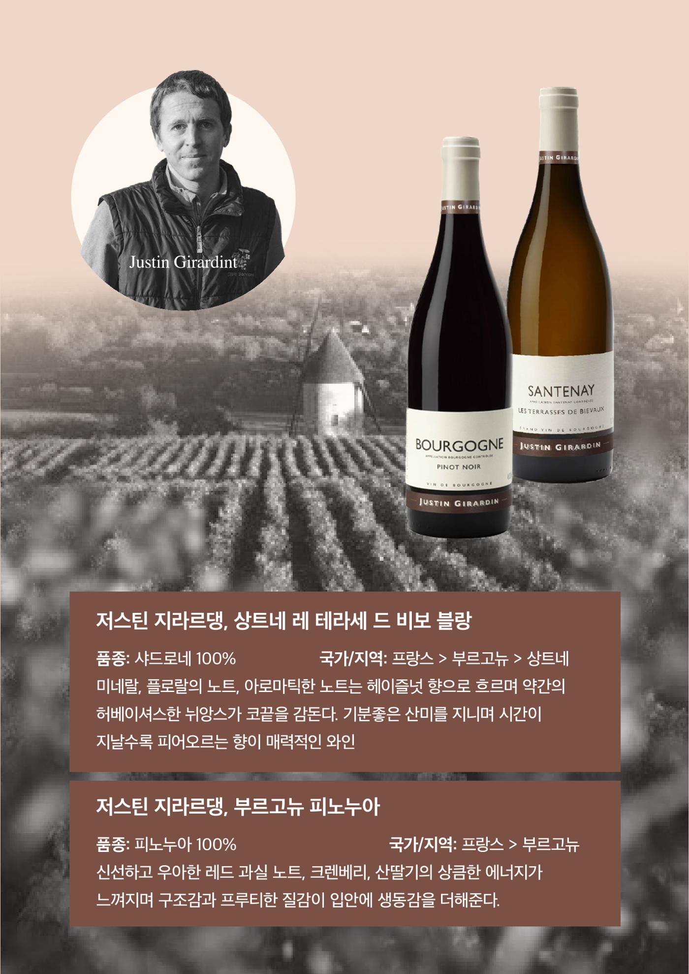 동원와인플러스 뉴스레터 9월호🍝  12p