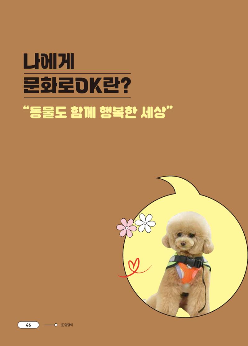 [시민실험실 문화로OK] 결과자료집 49페이지
