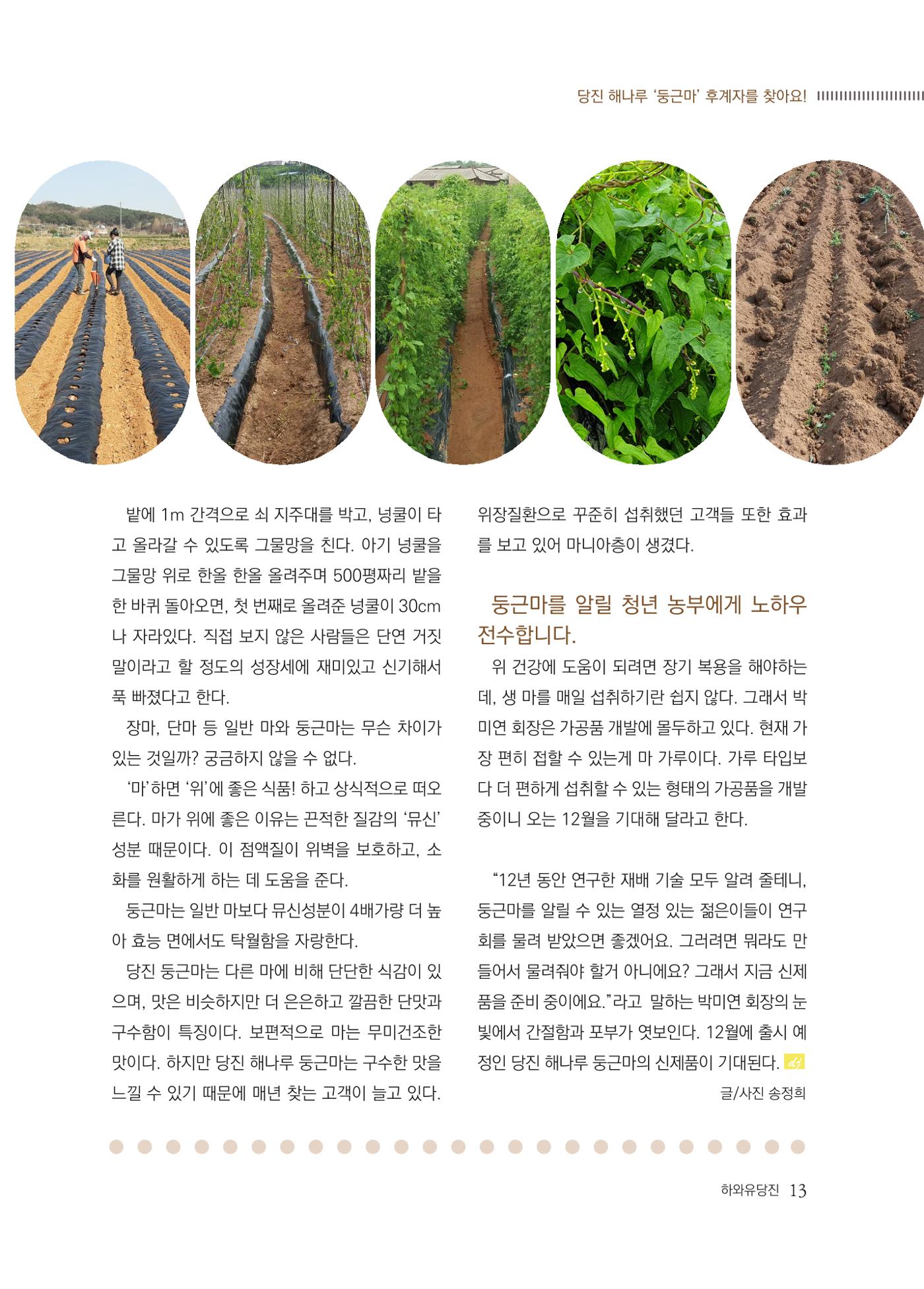 당진시 농촌신활력플러스사업 추진단 <하와유당진> 소식지 vol.5 14페이지