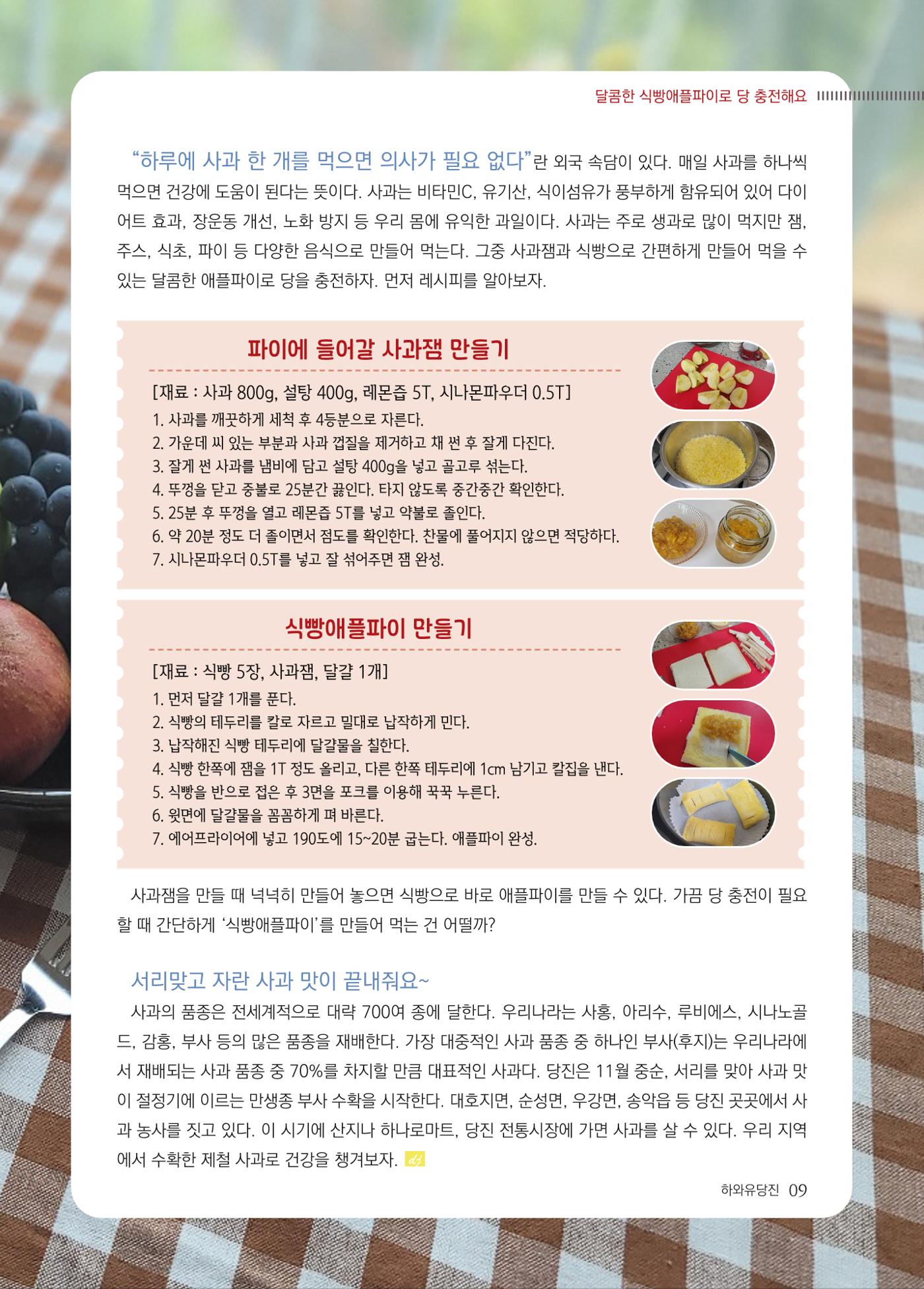 당진시 농촌신활력플러스사업 추진단 <하와유당진> 소식지 vol.5 10페이지
