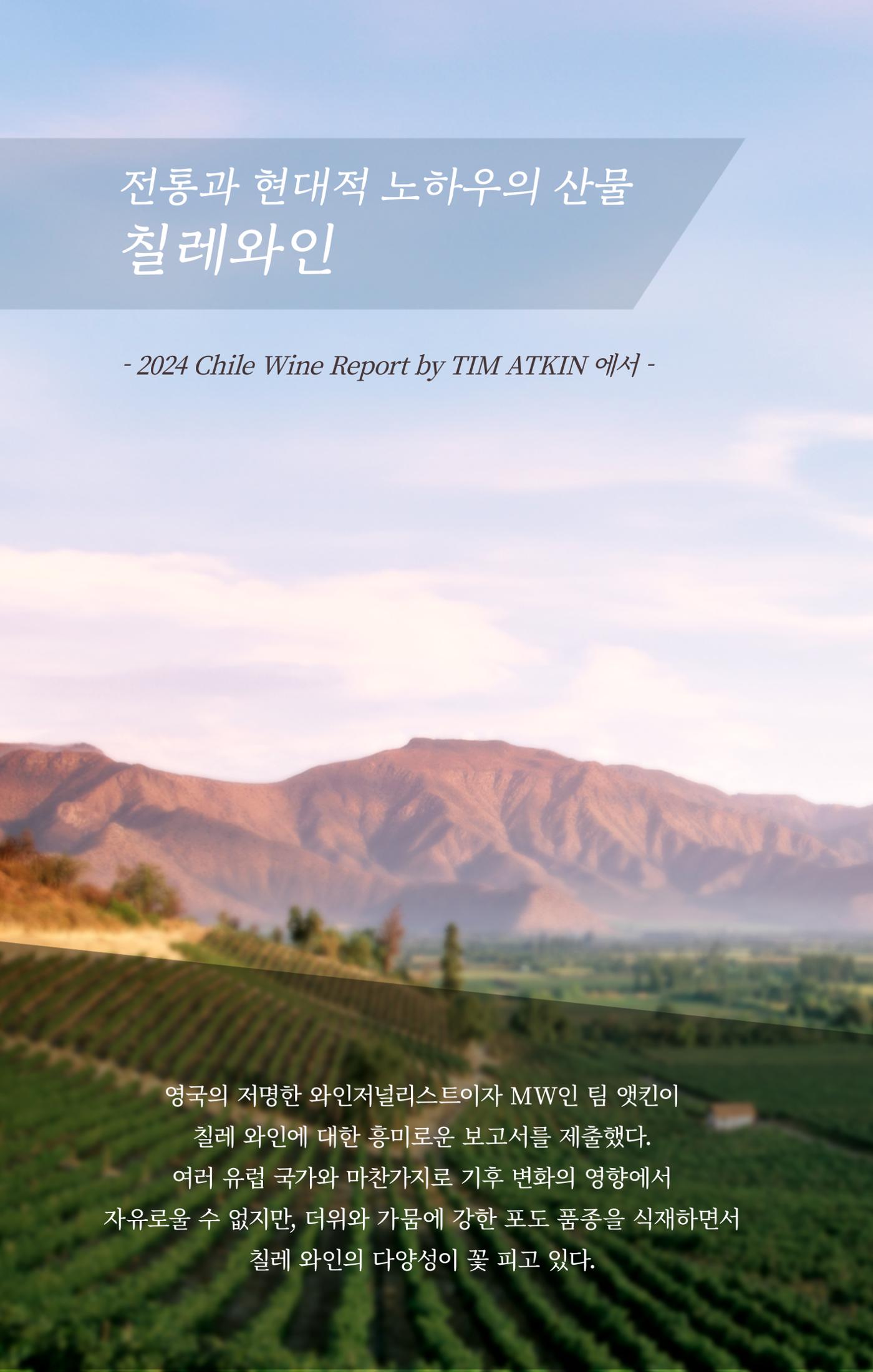 동원와인플러스 뉴스레터 11월호🐟 11p