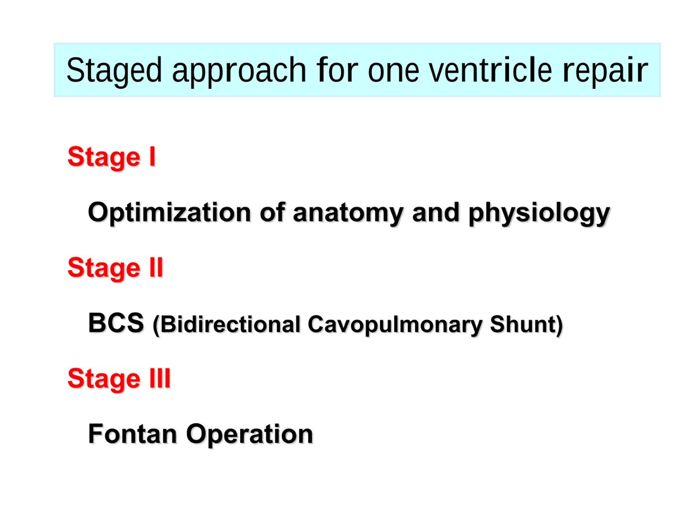 2025 Pediatric Heart Forum Presentation 303페이지