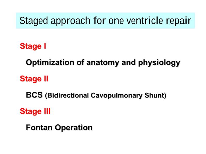 2025 Pediatric Heart Forum Presentation 303페이지