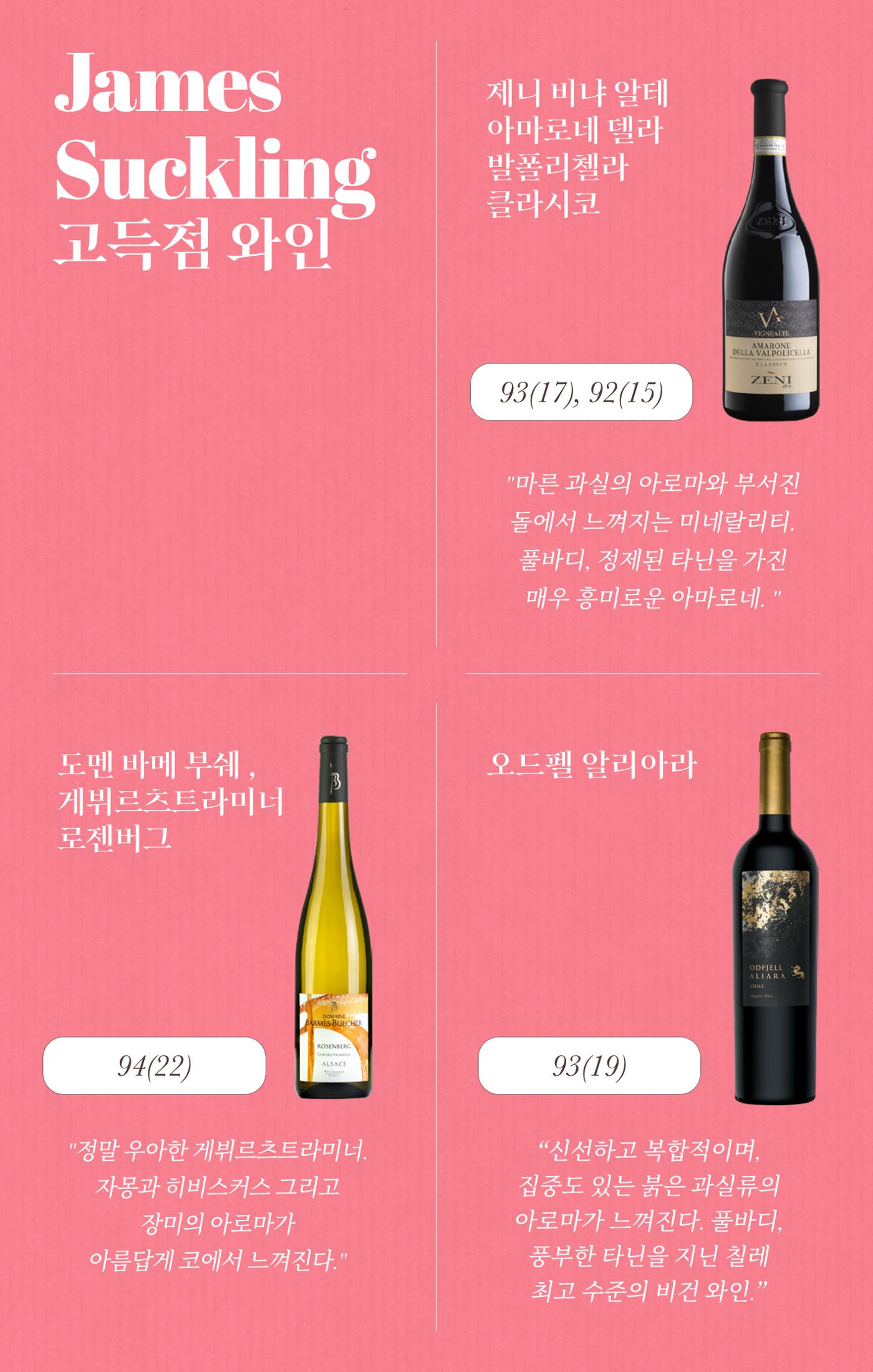 2025 3월 와인타임즈 🌸 8p