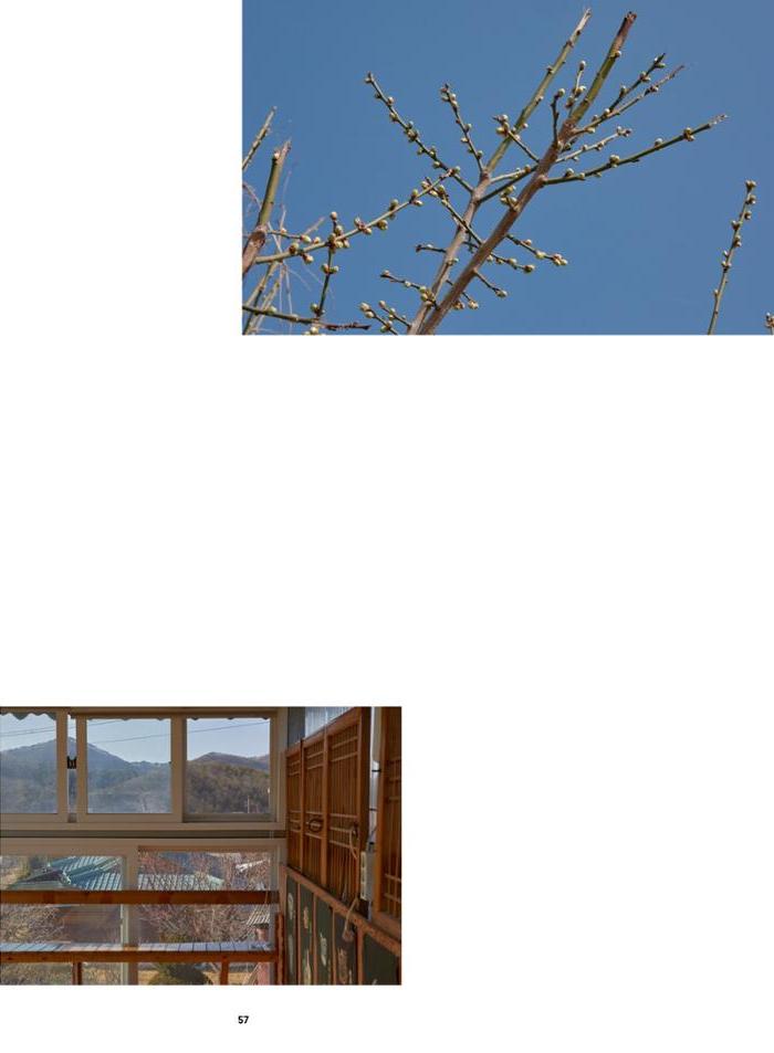춘천문화놀이매거진 POT 38호 59페이지