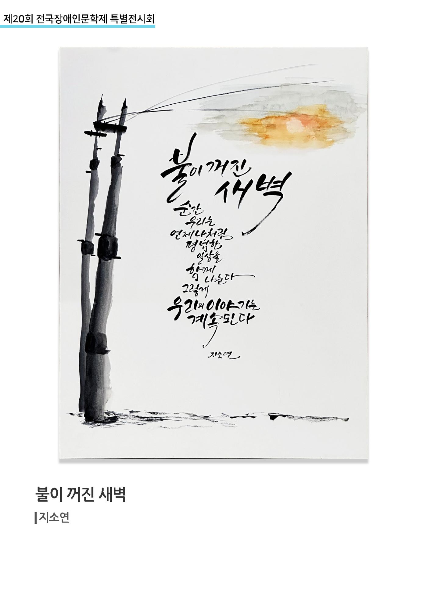 제 20회 전국장애인문학제 특별전시회 19페이지