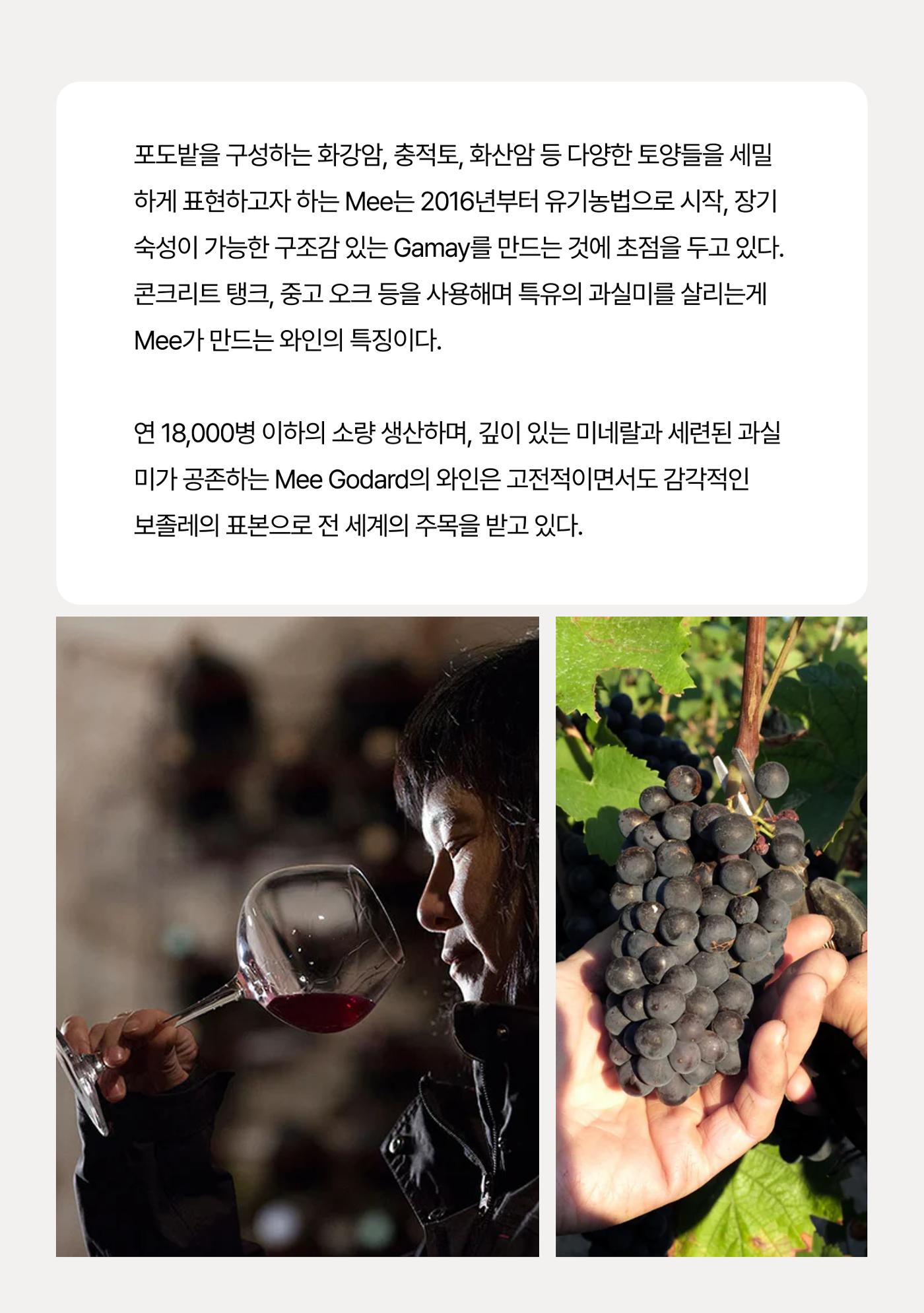 2025년 9월 와인타임즈🌝 24p