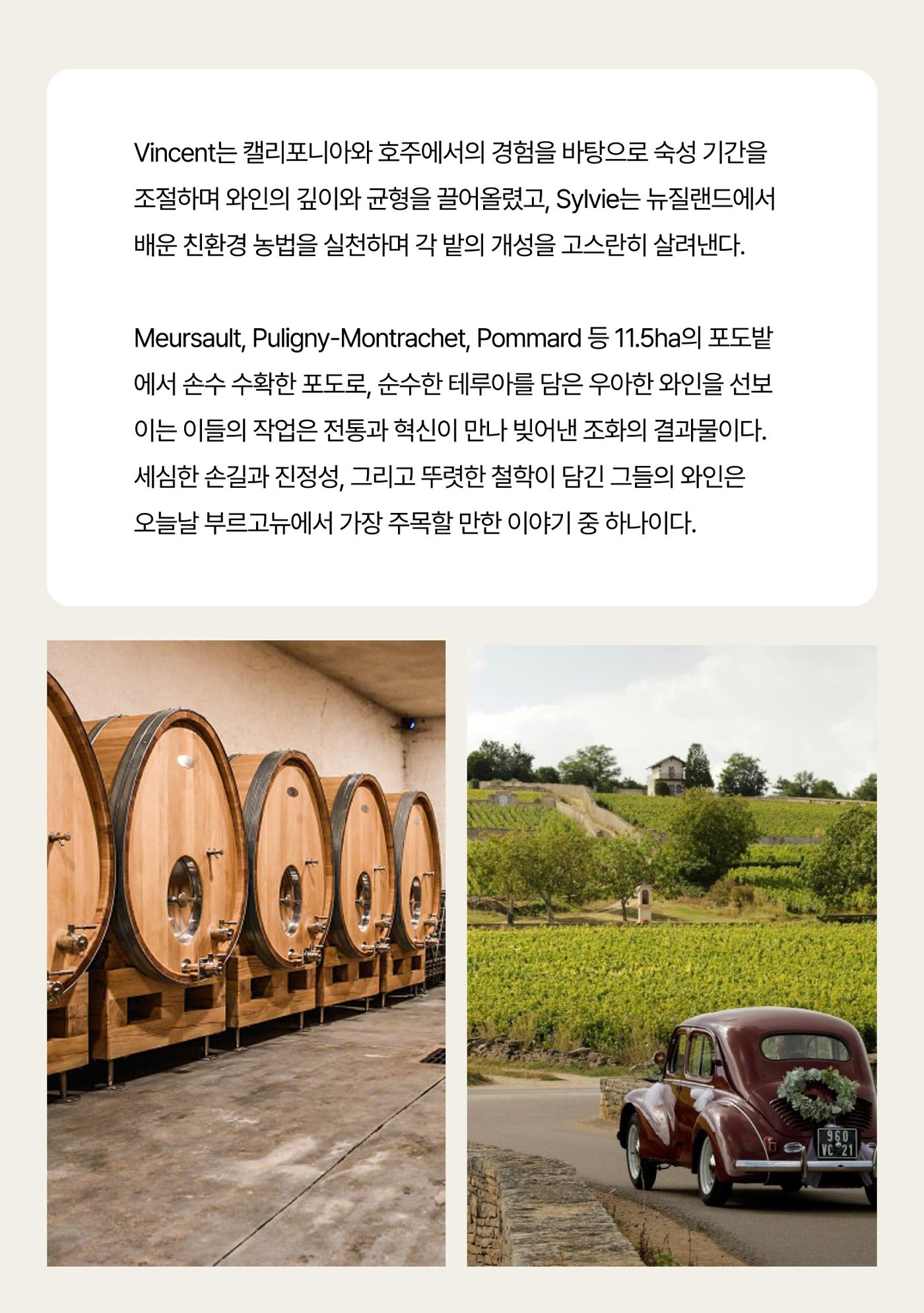 2025년 9월 와인타임즈🌝 20p