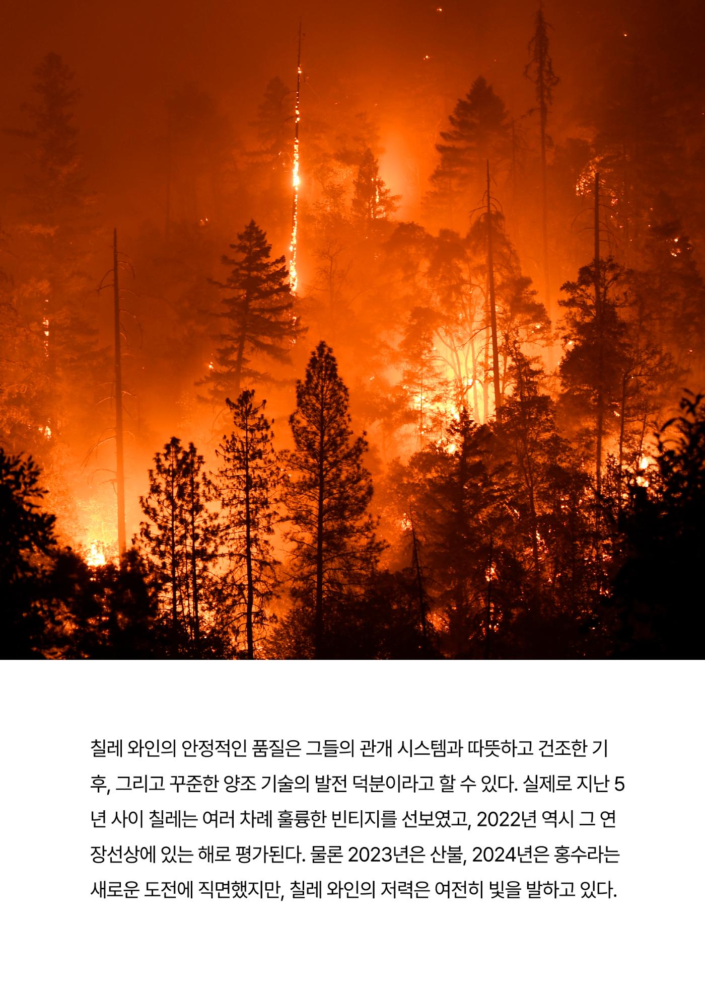 2025년 10월 와인타임즈🍁 13p